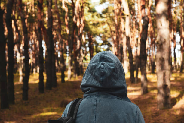 istock Tourist with a backpack and a hood at evergreen pine forest 1281329864