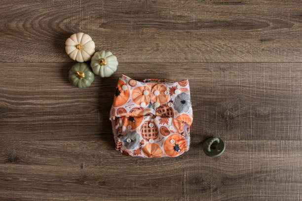Autumn-Themed Pumpkin Cloth Diaper Next to Pumpkins & a Pacifier
