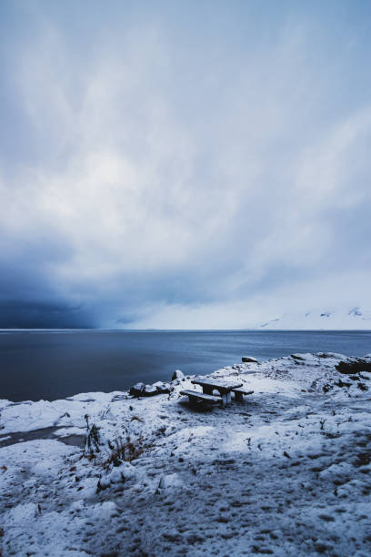Lonely bench at an eastern fjord