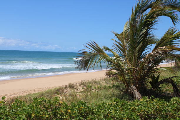 istock Desert Beach in Brazil 1281342040