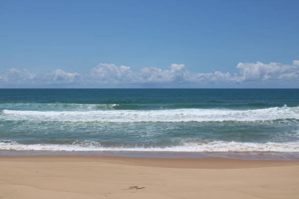 istock Desert Beach in Brazil 1281342051
