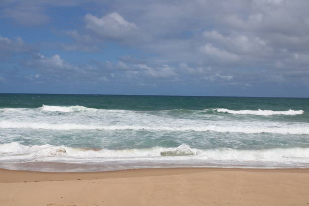 istock Desert Beach in Brazil 1281342124