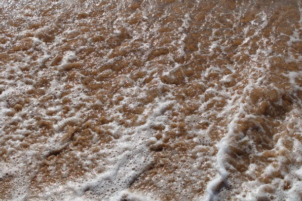 istock Desert Beach in Brazil 1281342177