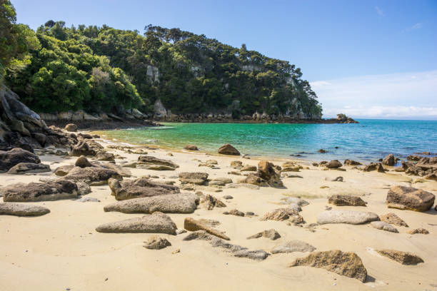 フィッシャーマン島のゴールデンビーチ - abel tasman national park ストックフォトと画像