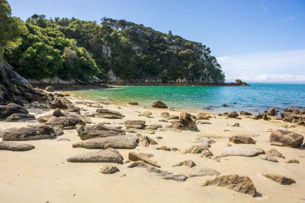 Golden beach on Fisherman Island A scene on Fisherman Island, Abel Tasman National Park abel tasman national park stock pictures, royalty-free photos & images