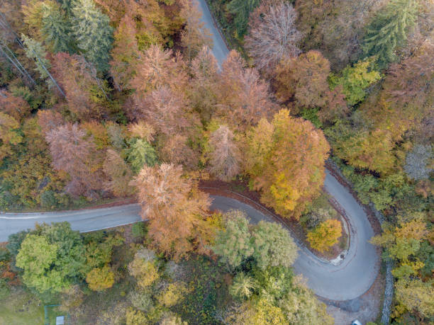 istock Curve on the mountain road 1281345156
