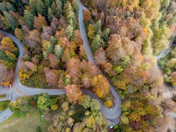 istock Curve on the mountain road 1281345230
