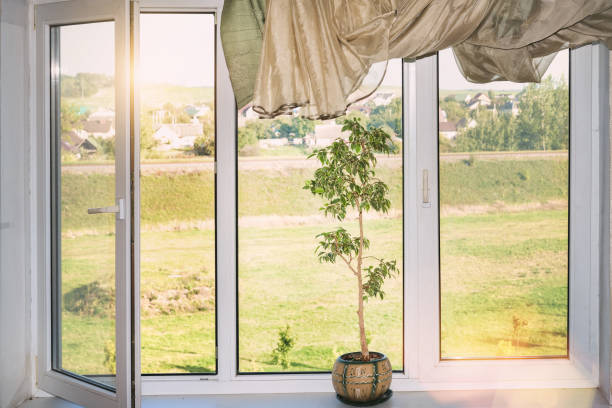 istock large open window with white plastic frame and houseplant in vase on sill 1281346904