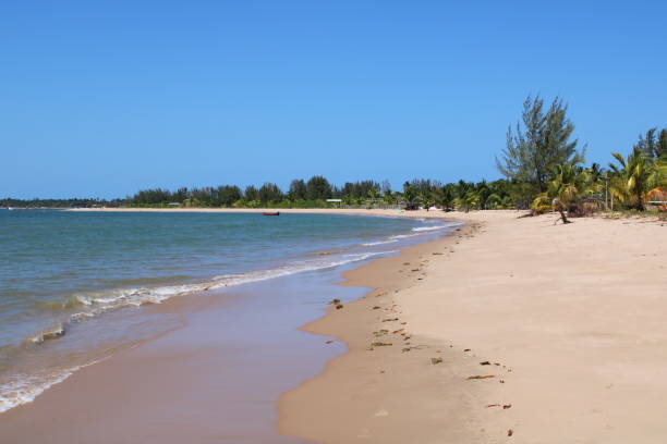 istock Sunny day in a Desert Beach in Brazil 1281347882