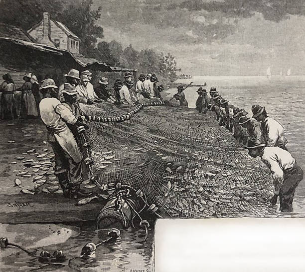Antique illustration