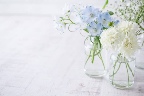 istock Living with flowers. Flower background. 1281353485