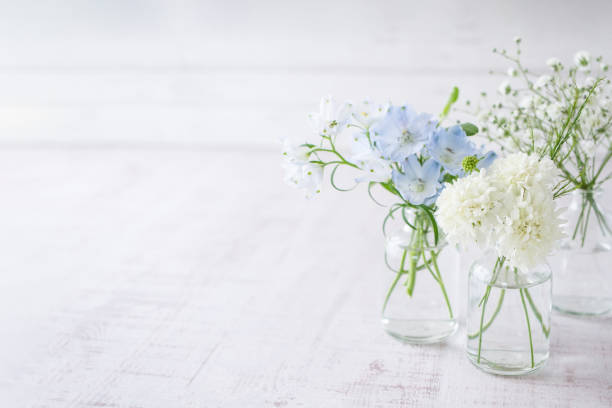 istock Living with flowers. Flower background. 1281353486