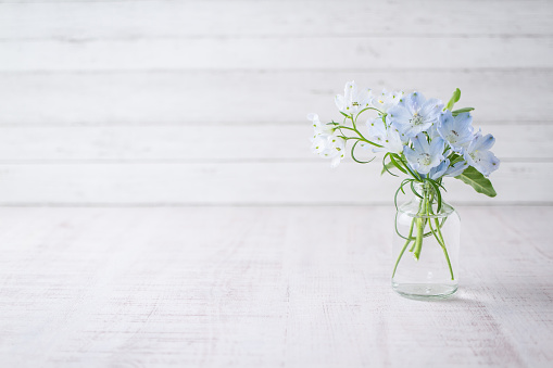 Flowers, decorating, glass bottles,\nWhite, light blue, natural, background