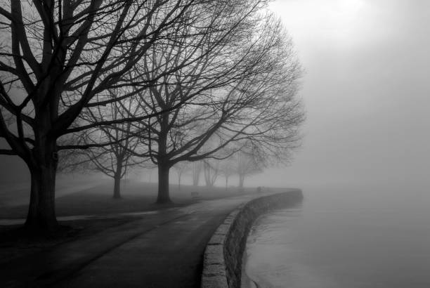 istock in the fog 1 1281353640