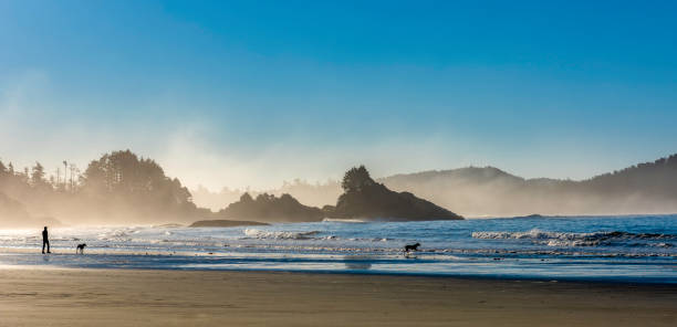 istock silhouette of a man 1281353649