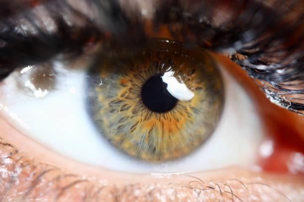 istock Person with clear glance 1281355631