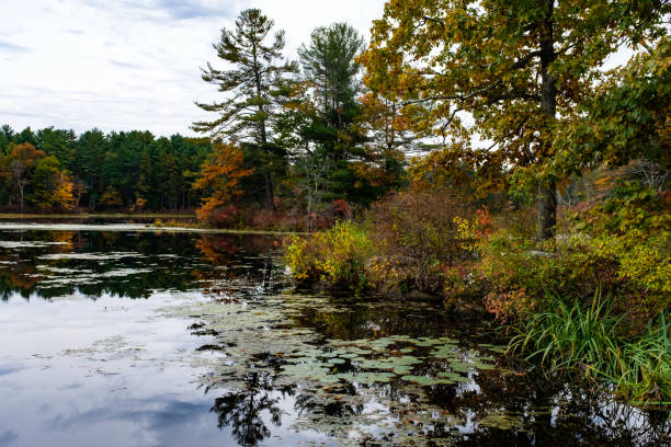 istock New England Autumn leaves and lake 1281355742