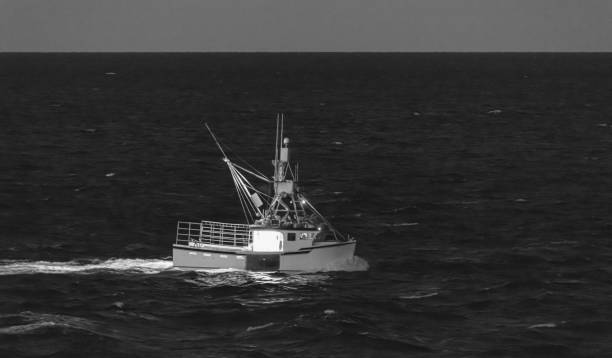 istock Lobster Boat Heading Home 1281357103