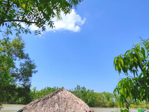 istock Beauty of Sundarbans 1281360472