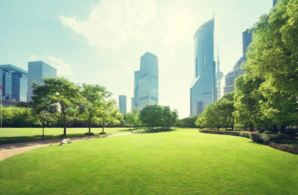 istock Green Space, Lujiazui Central, Shanghai, China 1281361498