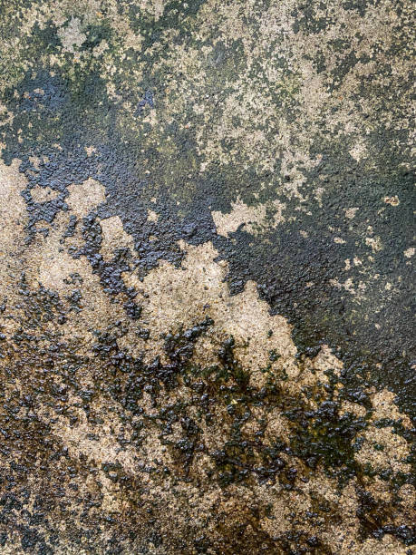 istock Details of a Plain Grunge Concrete floor 1281363292