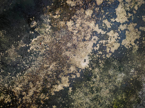 istock Details of a Plain Grunge Concrete floor 1281363307
