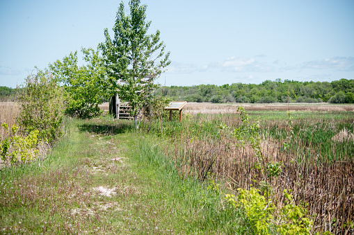 An observation deck for birdwatching at a local swamp