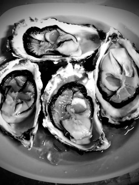 Shell's