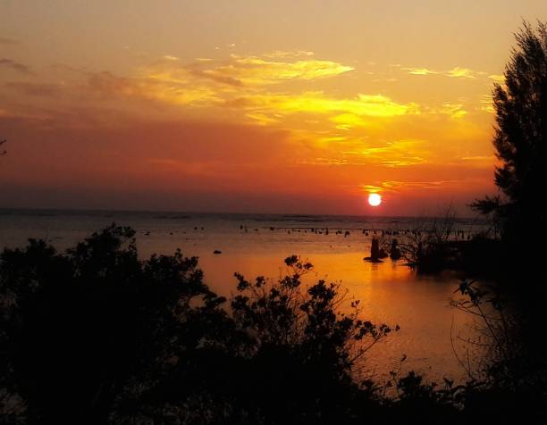 aceh do pôr do sol - peppy - fotografias e filmes do acervo