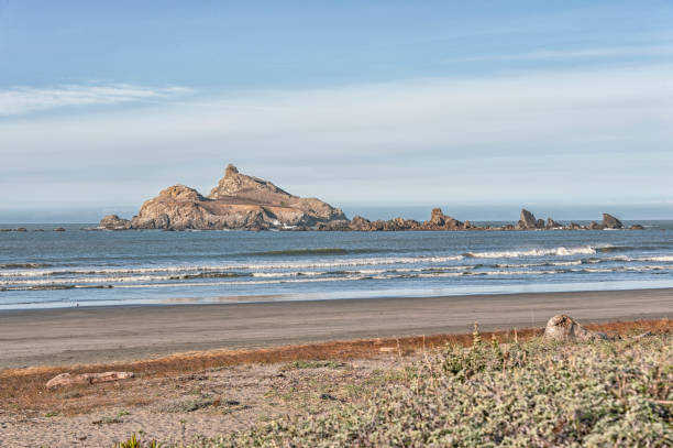 whaleshead beach great rock formation in oregon - whaleshead island imagens e fotografias de stock