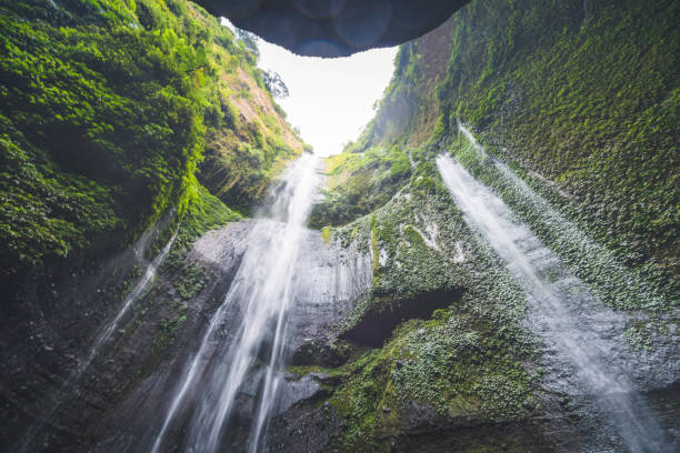 istock Jungle waterfall cascade in tropical rainforest. Banyumala Twin Waterfall In Bali Jungle 1281371310