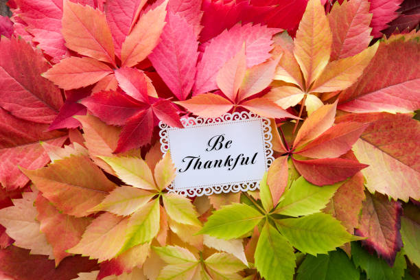 istock Colorful autumn leaves on rustic wooden background with text 1281380837