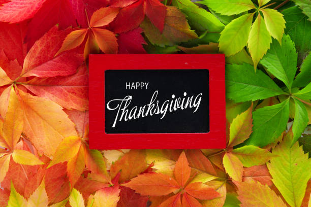 istock Colorful autumn leaves on rustic wooden background with text 1281381982