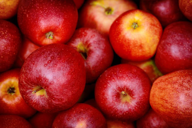 istock Red gala apples. Healthy diet food concept. 1281382806