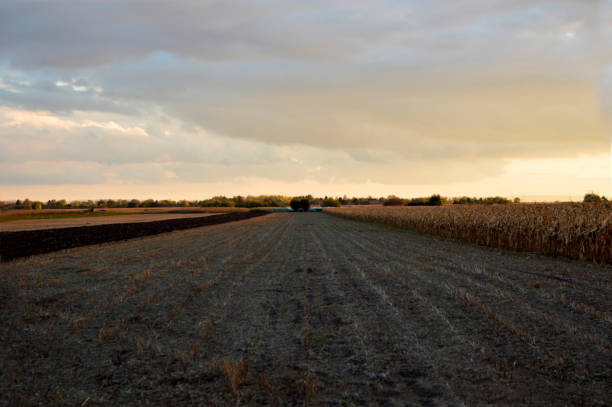 istock harvested agricultural field in autumn with cloudy sky 1281390448
