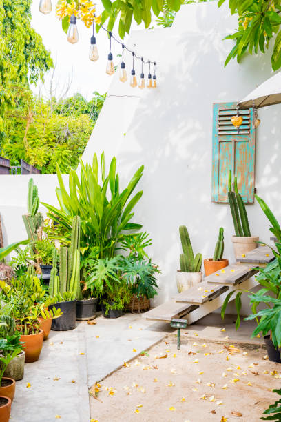 istock Green plants at outdoor 1281390693