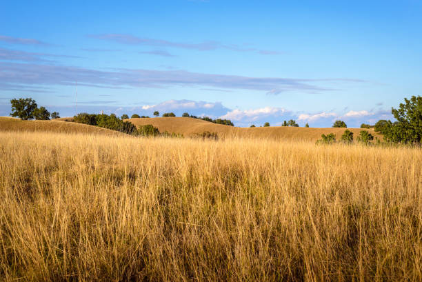 istock Zagajicka Brda hills in Serbia 1281390703