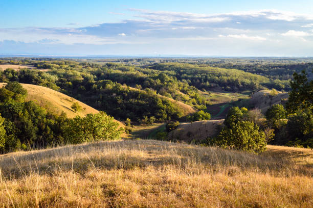 istock Zagajicka Brda hills in Serbia 1281390723