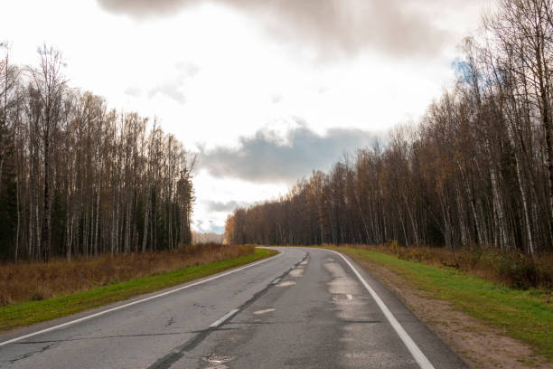 Suburb road among the forest, leading into the distance.