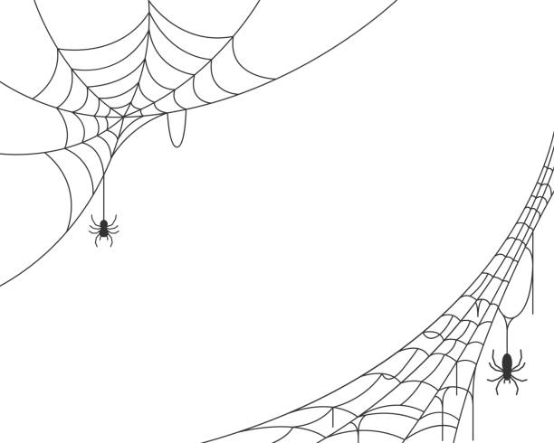 ilustraciones, imágenes clip art, dibujos animados e iconos de stock de fondo de tela de araña - horror ilustraciones
