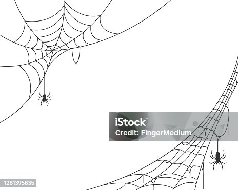 istock Spider web background 1281395835