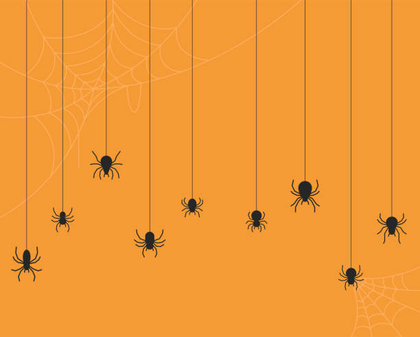 illustrazioni stock, clip art, cartoni animati e icone di tendenza di sfondo vettoriale ragno - ragno