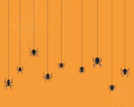 Spider vector background