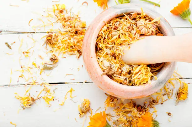 Dried calendula in a mortar and pestle.Traditional herbal medicine.