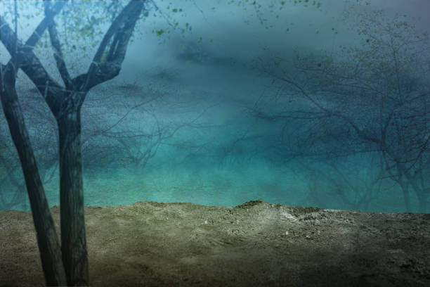 istock Haunted forest with fog and moonlight background 1281397175