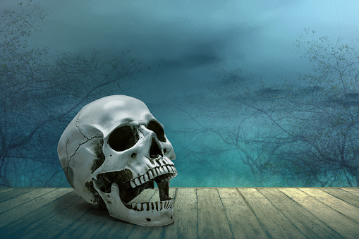 Human skull on the wooden table with smoke and fog in the forest