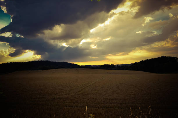 a field in autumn in the sunset with clouds in the sky