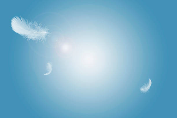 istock Soft light fluffy a feathers floating in a blue sky. Feather abstract freedom concept background with copy space. 1281399418