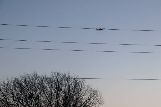 istock plane in sky against power lines and tree 1281401120
