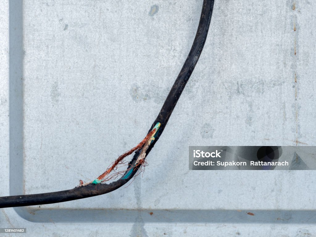 Defected Wire Wire Defective Wire Was Bitten By Rat Stock Photo - Download Image Now ...